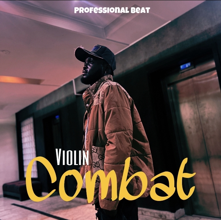 professional beat violin combat