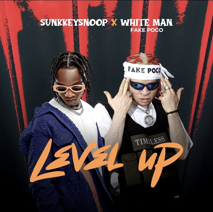 sunkkeysnoop, white man (fake poco) level up
