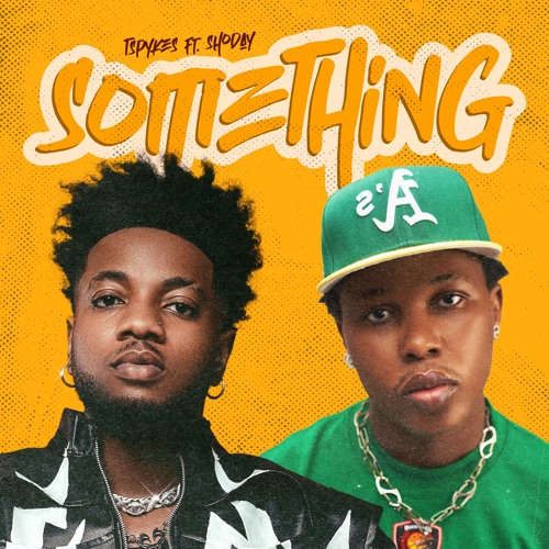 tspykes ft. shoday something something (remix)