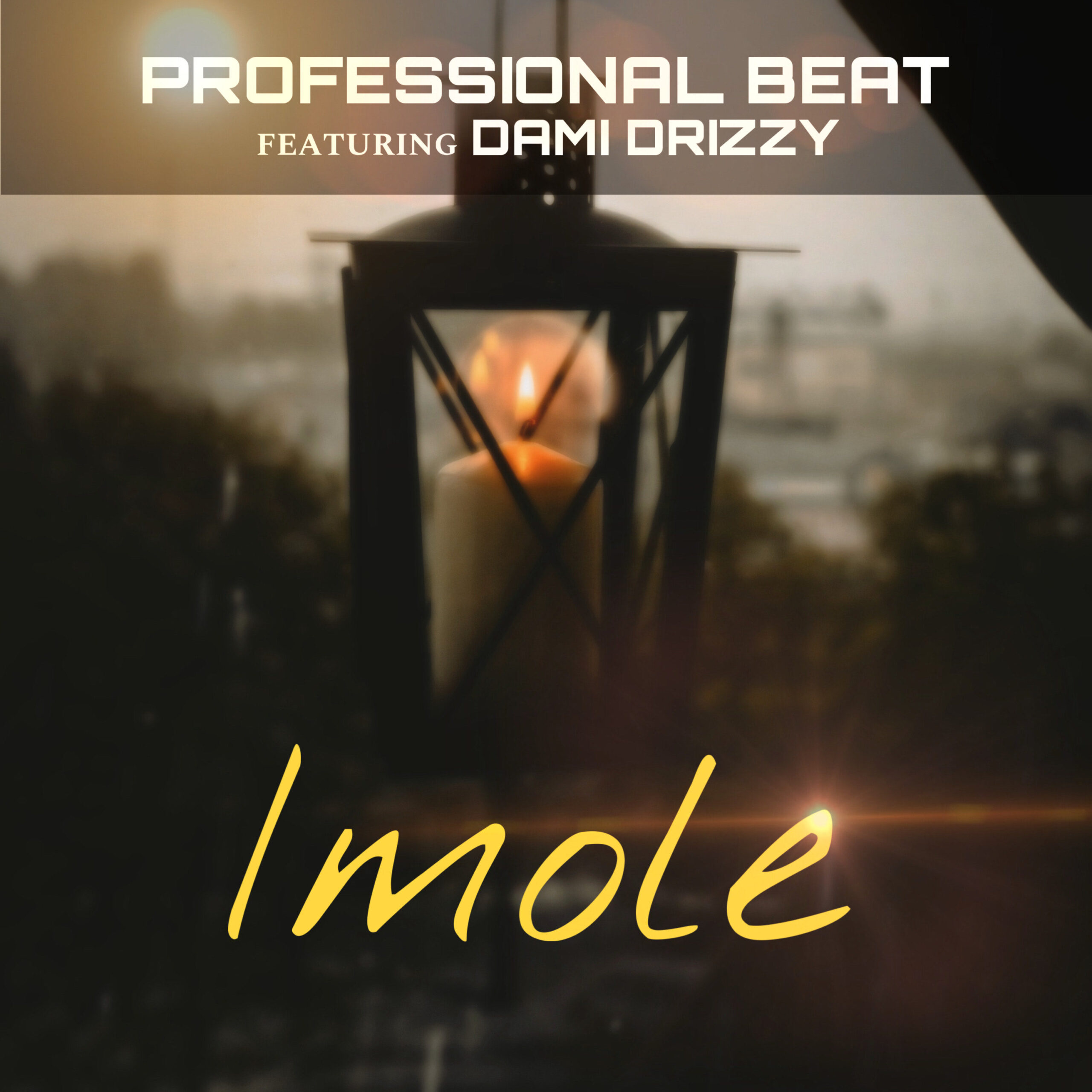 professional beat imole