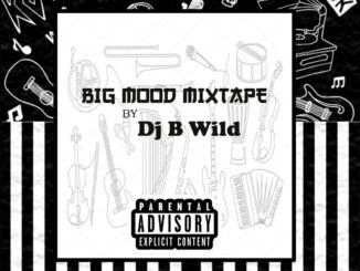 dj b wild big mood mix