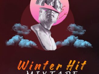 dj b wild x hypeman tino winter hit mix