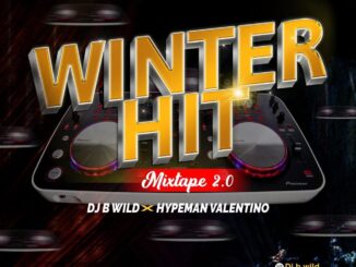 dj b wild x hypeman valentino winter hit mixtape vol. 2