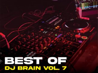 dj brain [tule] best of dj brain mix vol. 7