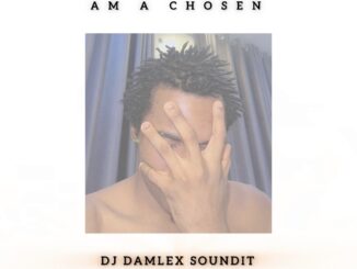 dj damlex soundit am a chosen dance beat