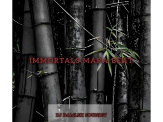 dj damlex soundit immortals mara beat