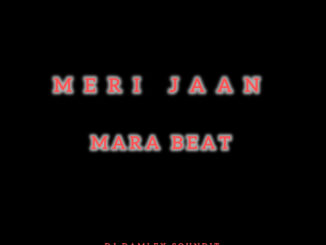 dj damlex soundit meri jaan mara beat