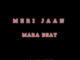 dj damlex soundit meri jaan mara beat