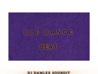 dj damlex soundit ole dance beat