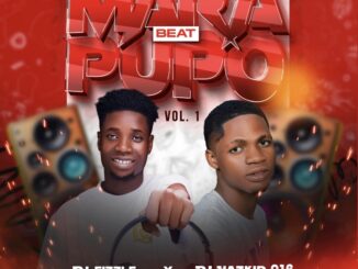 dj hazkid 016 & dj fizzle mara pupo vol. 1 beat