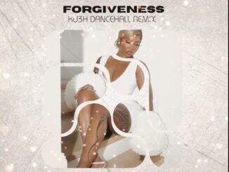 dj kush & tiwa savage forgiveness (ku3h dancehall remix)