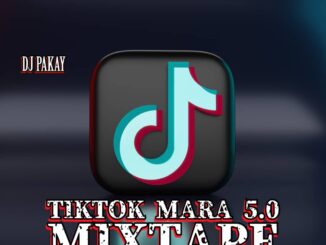 dj pakay tiktok mara 5.0 mix