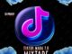dj pakay tiktok mara 7.0 mix