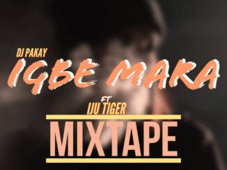 dj pakay ft. iju tiger igbe mara mix
