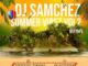 dj samchez summer vibez vol. 2