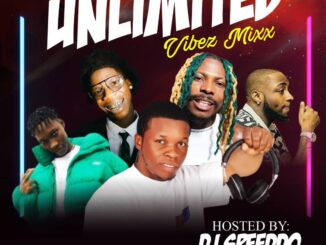 dj speeddo unlimited vibez mix