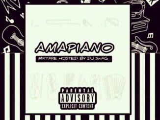 dj swag amapiano mix