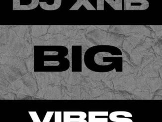 dj xnb big vibes mix