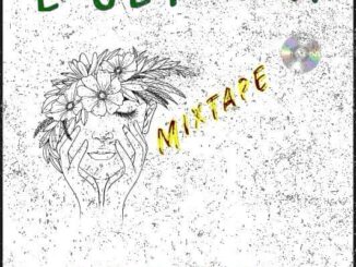 dj xnb e get why mix