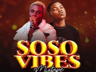 dj xnb x naked hypeman soso vibes mix