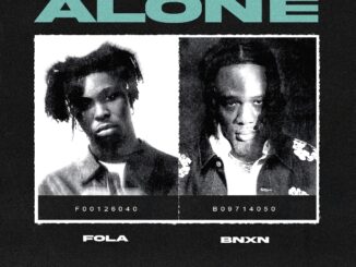 fola & bnxn alone (remix)