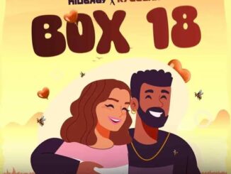kid baby box 18 ft. rybeena