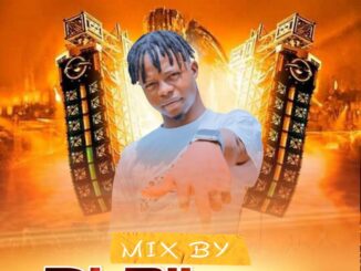 king vdj blizzy best of mascara vibes mix