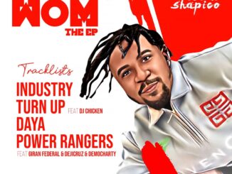 oloko shapico w.o.m (working on myself) the ep
