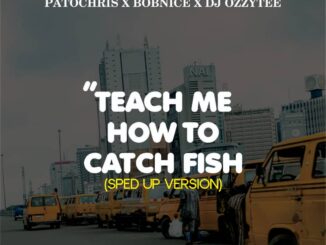 patochris x bobnice x dj ozzytee teach me how to catch fish (sped up version)