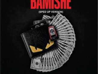 rainbow boi x dj ozzytee bamishe (sped up version)