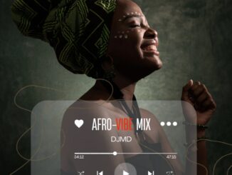 stereo king dj md afrø vibe mix