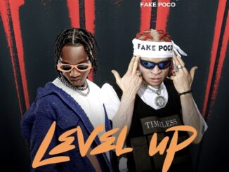sunkkeysnoop, white man (fake poco) level up