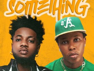 tspykes ft. shoday something something (remix)