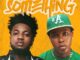 tspykes ft. shoday something something (remix)