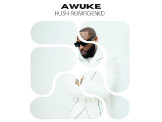 davido ft. yg marley awuke (ku3h reimagined) soulful