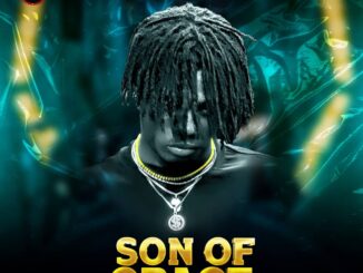 jazzsmart de troubleguy son of grace (ep)