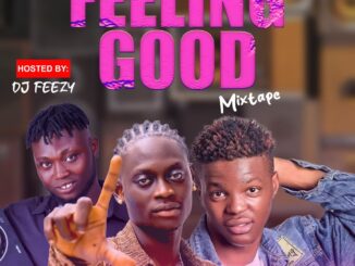 dj feezy feeling good mix