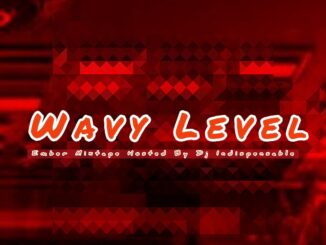 dj indispensable wavy level ember mix