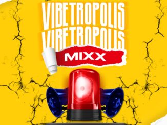 dj speeddo vibetropolis mix
