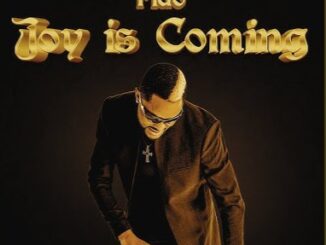 fido joy is coming