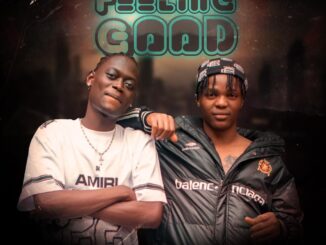 zitz zaborse ft. bhadboi oml – feeling good