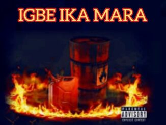 dj darex ft. dj hazkid016 igbe ika mara mix