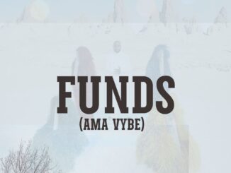 dj swagman funds (ama vybe)