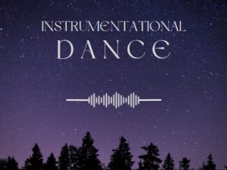 dj swagman instrumentational dance