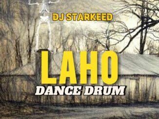 dj starkeed laho dance drum