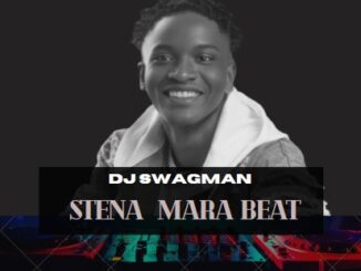 dj swagman stena mara beat