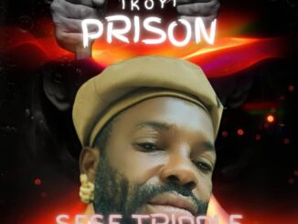 sese tripple prison