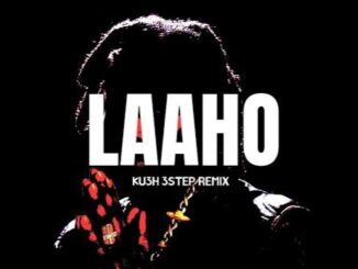 shallipopi laaho (ku3h 3step remix)