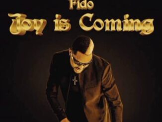 dj alabama x fido joy is coming