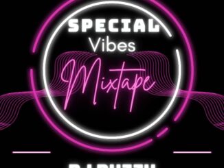 dj duzzy special vibes mix